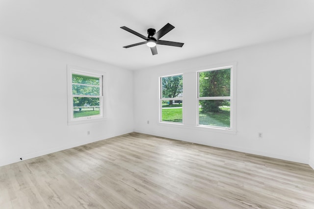 1453 E Livingston St, Springfield, MO 65803 - photo 18