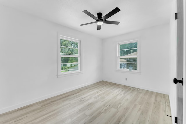 1453 E Livingston St, Springfield, MO 65803 - photo 23