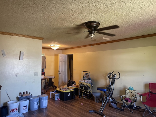 402 N Walnut St, Fair Play, MO 65649 - photo 6