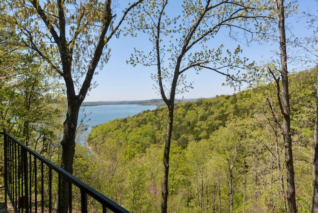 9755 State Highway 13, Kimberling City, MO 65686 - water view with a heavily wooded area