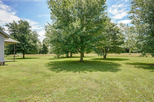 14521 Lawrence Unit 2145, Mount Vernon, MO 65712 - view of green lawn
