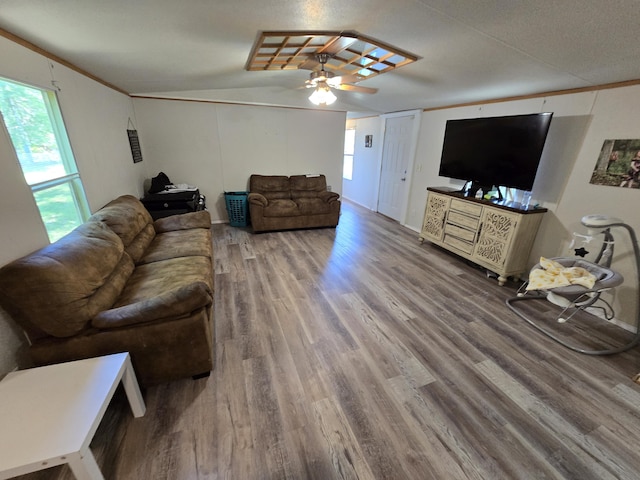 4662 S 30th Rd, Fair Play, MO 65649 - living room with plenty of natural light, wood finished floors, and a ceiling fan