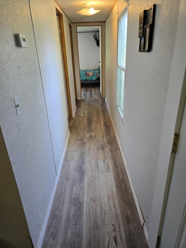 4662 S 30th Rd, Fair Play, MO 65649 - hallway featuring wood finished floors and baseboards