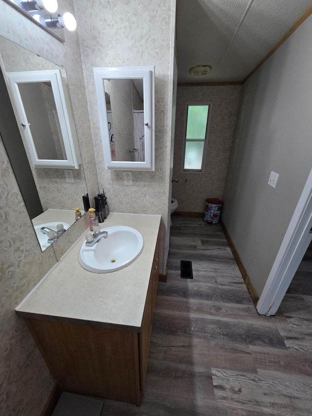 4662 S 30th Rd, Fair Play, MO 65649 - full bathroom with wood finished floors, vanity, and wallpapered walls