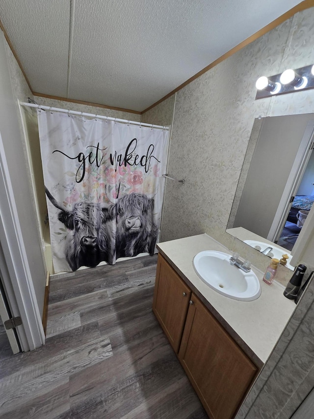 4662 S 30th Rd, Fair Play, MO 65649 - bathroom with a textured ceiling, wood finished floors, and vanity