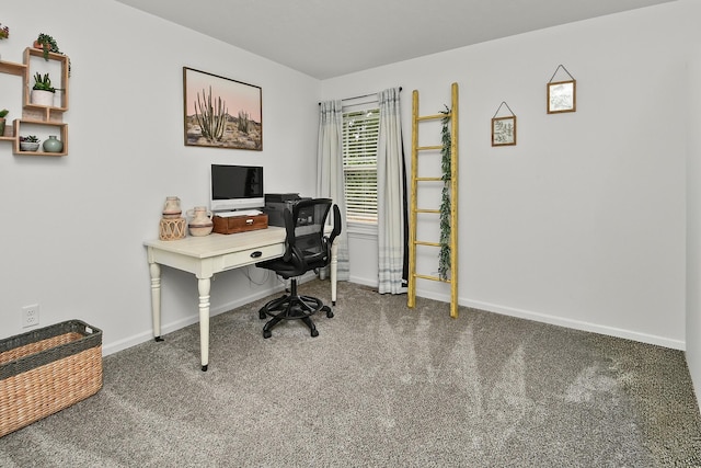 237 Kelsi Ln, Branson, MO 65616 - carpeted home office with baseboards