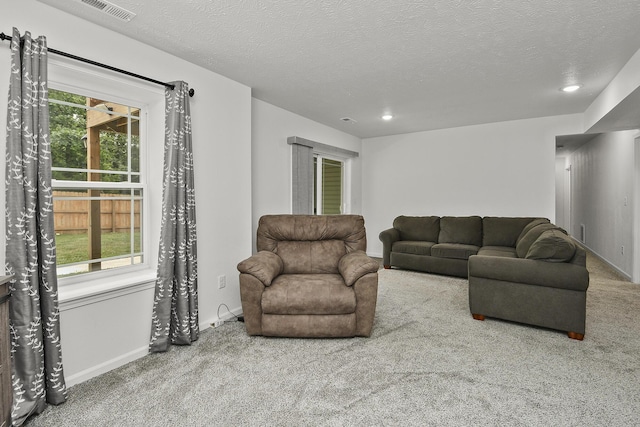 237 Kelsi Ln, Branson, MO 65616 - carpeted living area featuring healthy amount of natural light, recessed lighting, and a textured ceiling