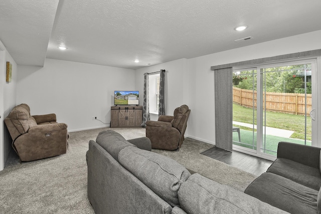 237 Kelsi Ln, Branson, MO 65616 - living room featuring carpet flooring, recessed lighting, and a textured ceiling