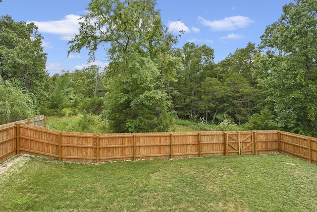 237 Kelsi Ln, Branson, MO 65616 - view of yard