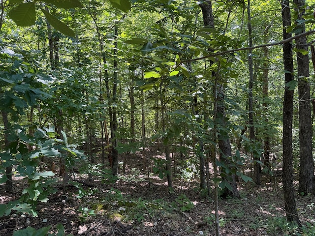 36245 US-160, Doniphan, MO 63935
