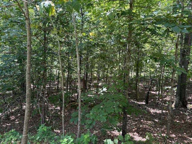 36245 US-160, Doniphan, MO 63935