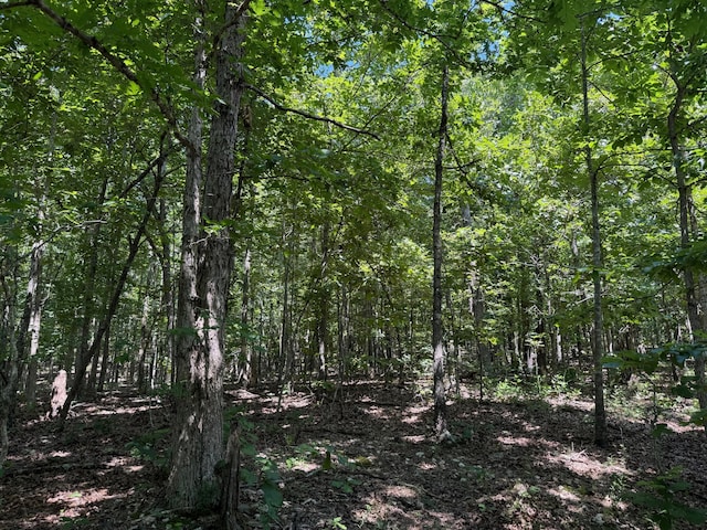 36245 US-160, Doniphan, MO 63935