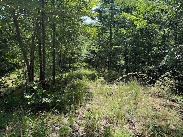 36245 US-160, Doniphan, MO 63935