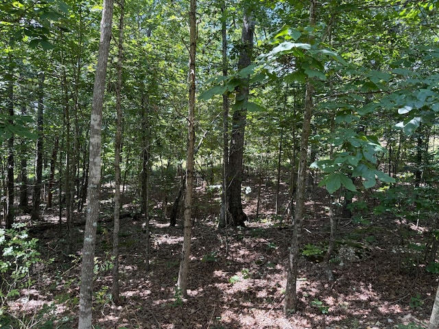 36245 US-160, Doniphan, MO 63935