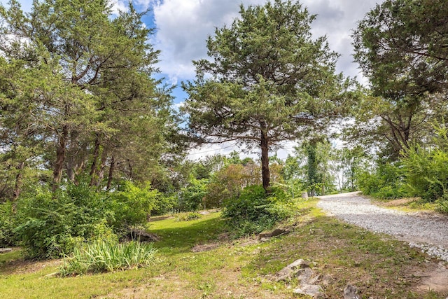 537 Watson Rd, Branson, MO 65616 - view of street