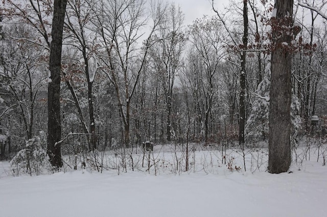 537 Watson Rd, Branson, MO 65616 - snowy view