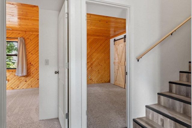 537 Watson Rd, Branson, MO 65616 - stairs with wood walls and carpet flooring