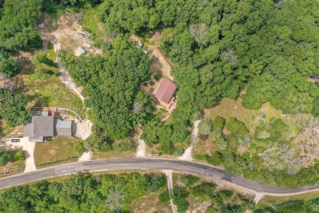 537 Watson Rd, Branson, MO 65616 - aerial overview of property's location