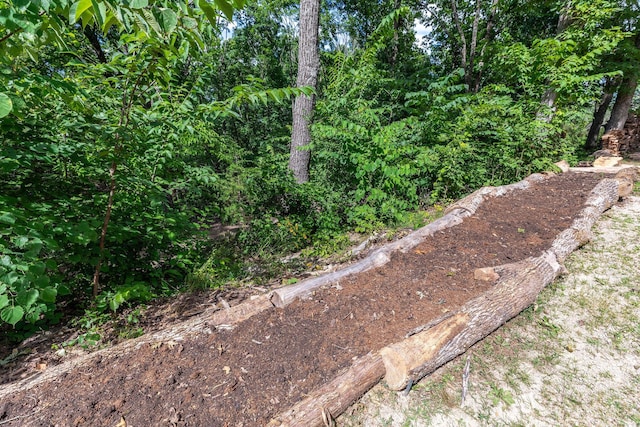 537 Watson Rd, Branson, MO 65616 - view of yard
