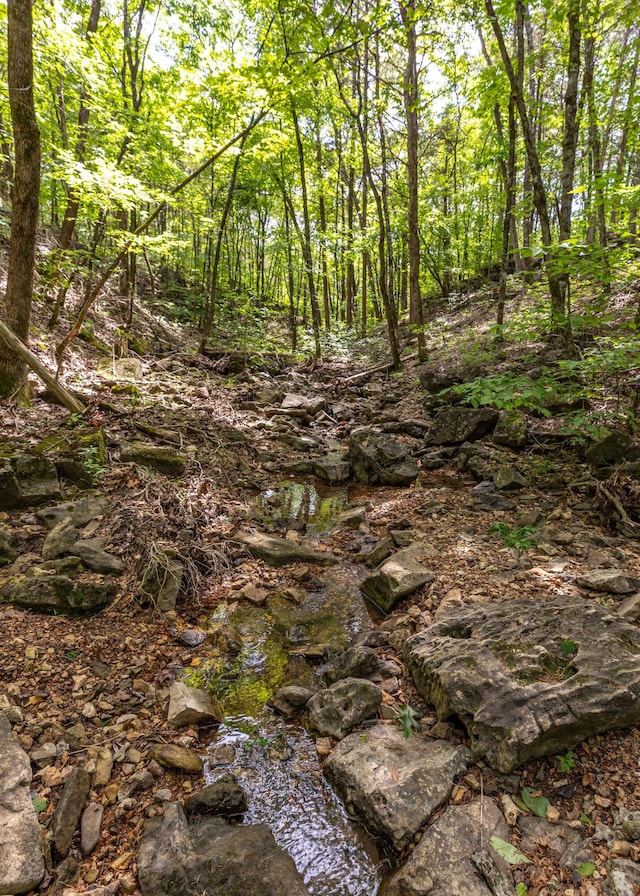 537 Watson Rd, Branson, MO 65616 - view of tree filled area
