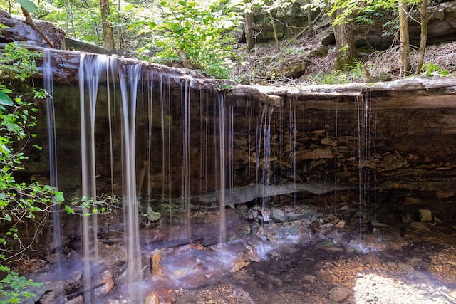 537 Watson Rd, Branson, MO 65616 - view of undeveloped land