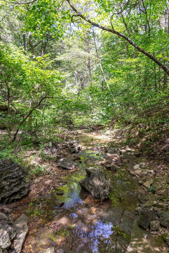 537 Watson Rd, Branson, MO 65616 - view of tree filled area
