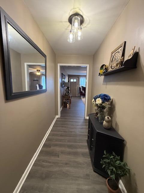 212 W Lindberg St, Springfield, MO 65807 - hallway with dark wood finished floors and baseboards