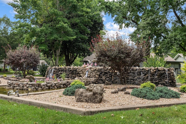 6 Maple Ct, Branson, MO 65616 - view of yard