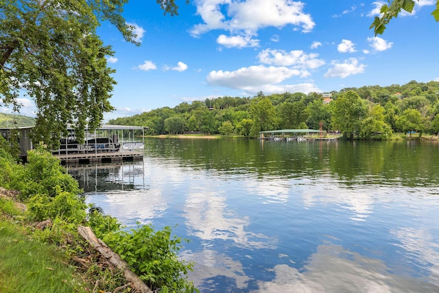 6 Maple Ct, Branson, MO 65616 - water view with a forest and a boat dock
