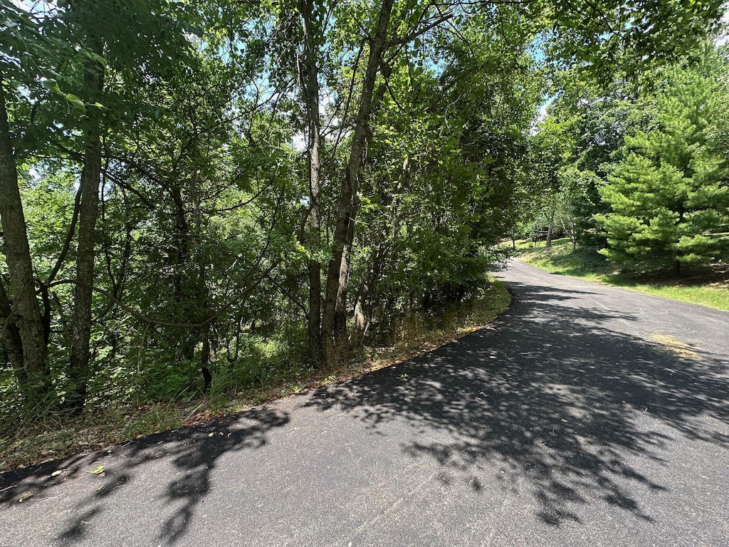 LOT10 Paola Ln, Kimberling City, MO 65686 - photo 1