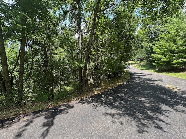 LOT10 Paola Ln, Kimberling City, MO 65686 - photo 1