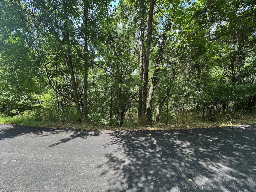 LOT10 Paola Ln, Kimberling City, MO 65686 - photo 2