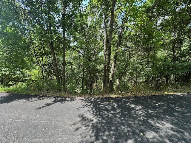 LOT10 Paola Ln, Kimberling City, MO 65686 - photo 2
