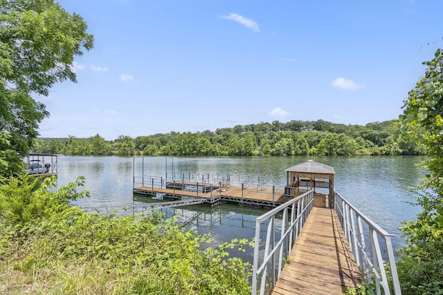314 Easy St, Branson, MO 65616 - photo 3