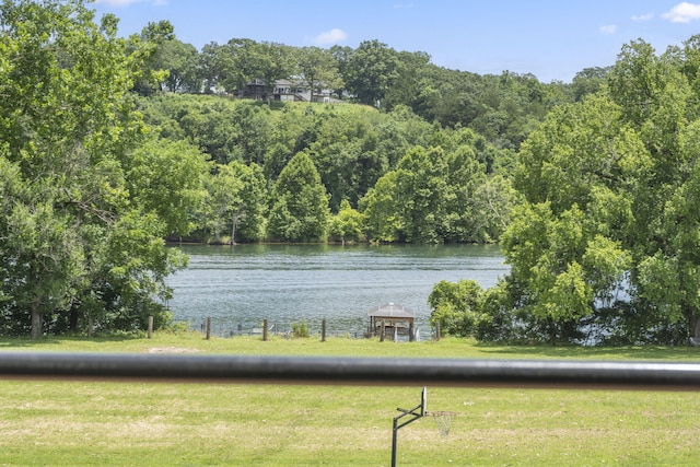 314 Easy St, Branson, MO 65616 - photo 10
