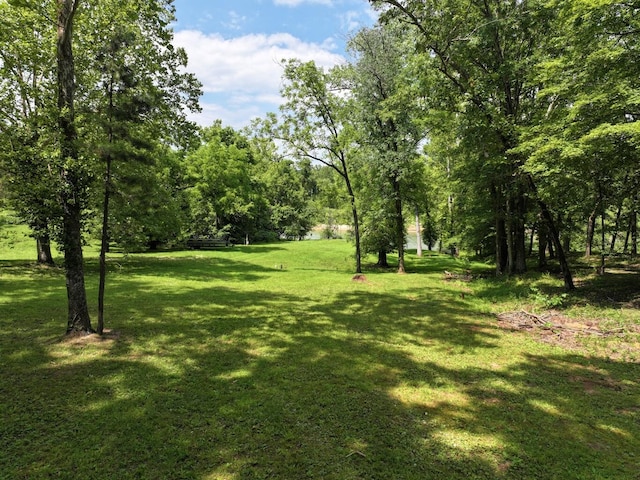 000 Carter 133, Van Buren, MO 63965 - photo 4