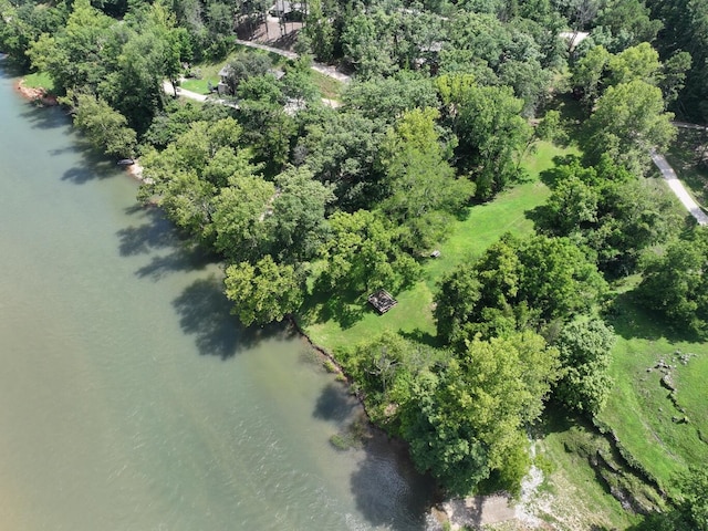 000 Carter 133, Van Buren, MO 63965 - photo 12