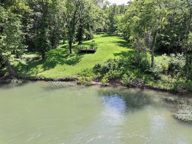 000 Carter 133, Van Buren, MO 63965 - photo 13