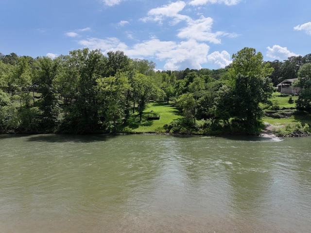 000 Carter 133, Van Buren, MO 63965 - photo 6