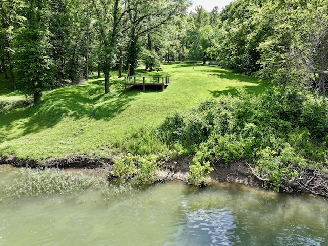 000 Carter 133, Van Buren, MO 63965 - photo 1