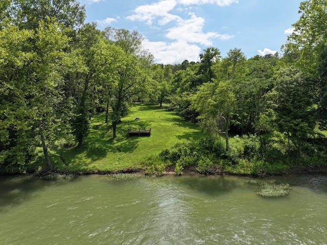 000 Carter 133, Van Buren, MO 63965 - photo 5