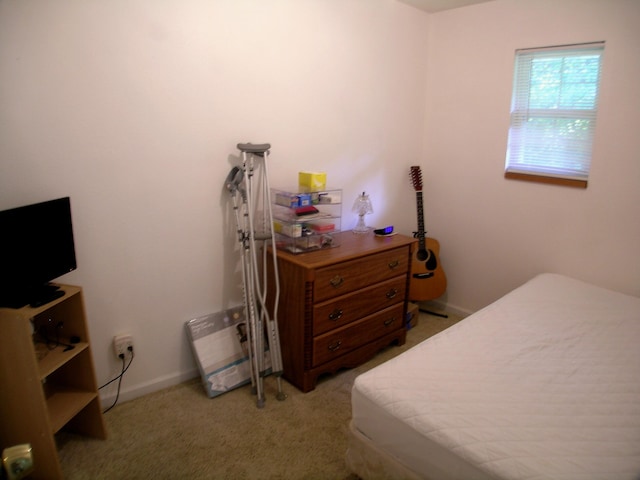 131 Sweetbriar Dr, Marshfield, MO 65706 - bedroom featuring light carpet and baseboards