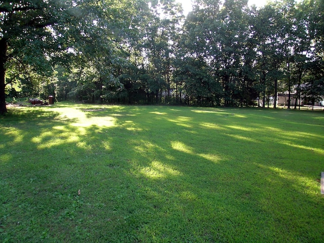 131 Sweetbriar Dr, Marshfield, MO 65706 - view of green lawn