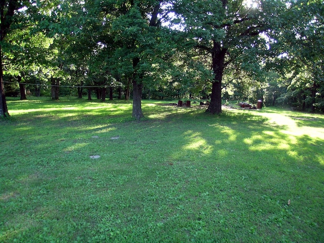 131 Sweetbriar Dr, Marshfield, MO 65706 - view of grassy yard