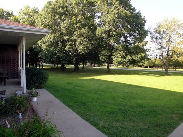 131 Sweetbriar Dr, Marshfield, MO 65706 - view of green lawn