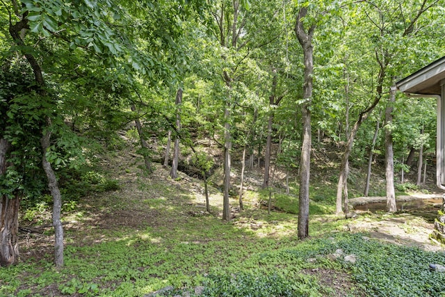 4109 E Farm Road 144, Springfield, MO 65809 - photo 66