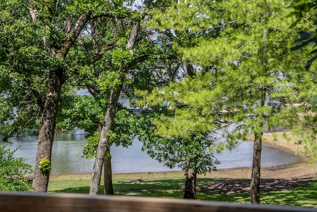 59 Tom Turkey Cir, Branson West, MO 65737 - water view