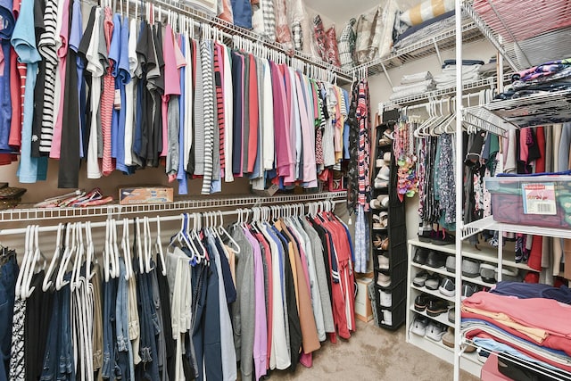 1376 N Sandy Creek Cir # 1, Nixa, MO 65714 - walk in closet with carpet