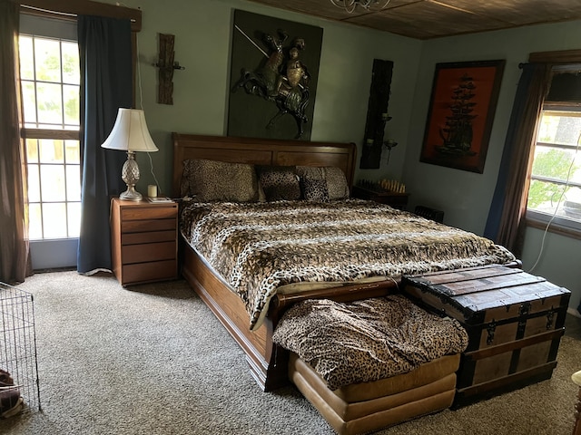 1103 Riverview Dr, Mammoth Spring, AR 72554 - bedroom featuring carpet flooring