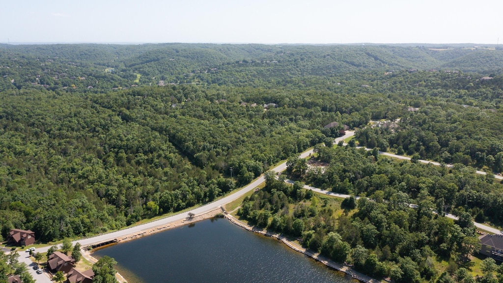 000 Fox Hollow Rd, Reeds Spring, MO 65737